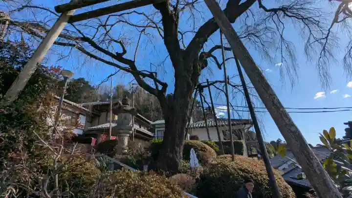 林陽寺の{uncategorized: "未分類", other: "その他", undefined: "問題あり", building: "その他建物", grave: "お墓", sacred_gate: "鳥居", guardian: "狛犬", statue: "像", buddha: "仏像", history: "歴史", nature: "自然", garden: "庭園", animal: "動物", pagoda: "塔", temizu: "手水舎", mountain_gate: "山門・神門", sanctuary: "本殿・本堂", subordinate: "末社・摂社", art: "芸術", scenery: "景色", jizo: "地蔵", ema: "絵馬", goshuin: "御朱印", omikuji: "おみくじ", items: "授与品その他", amulet: "お守り", goshuincho: "御朱印帳", eats: "食事", festival: "お祭り", votive_dance: "神楽", shichigosan: "七五三参", wedding: "結婚式", experience: "体験その他", initially: "初詣", around: "周辺", anti_infection: "感染症対策"}