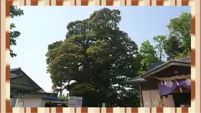 九重神社(埼玉県)