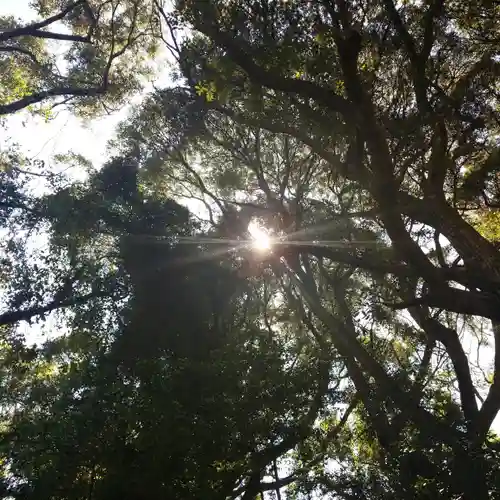 沼尾神社の自然