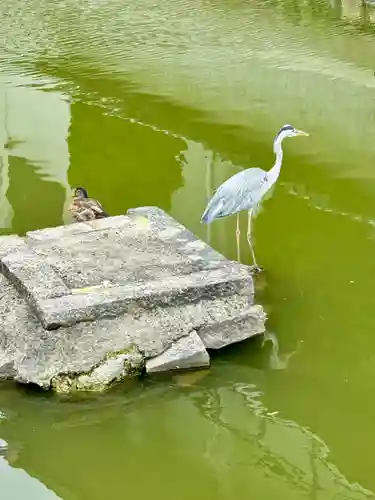 東寺（教王護国寺）(京都府)