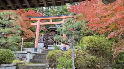 正法寺(京都府)