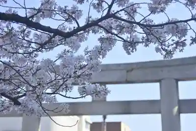 三嶋大社(静岡県)