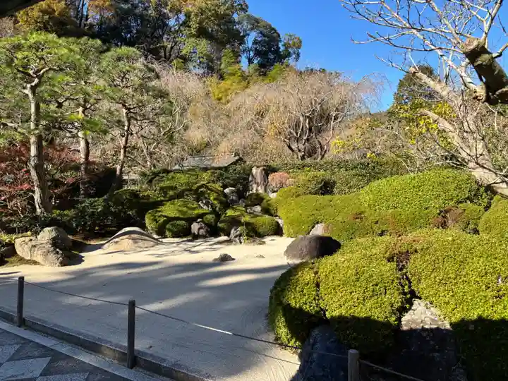 明月院の庭園