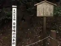 藤下若宮八幡神社のその他建物