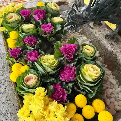 札幌諏訪神社の手水舎