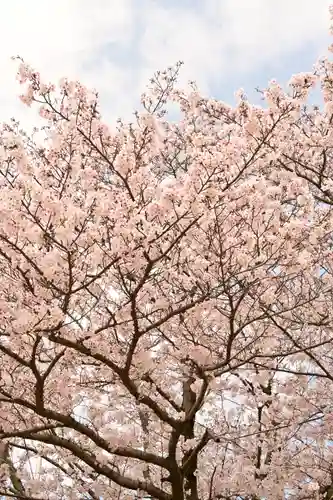 海禅寺(愛媛県)