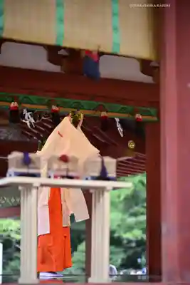 鶴岡八幡宮(神奈川県)