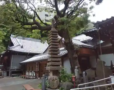 大圓寺(東京都)
