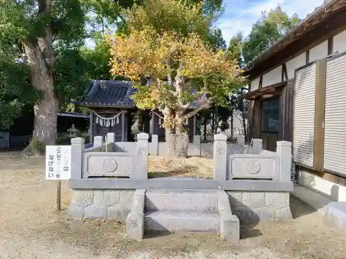 神明社（大島町神社）の自然