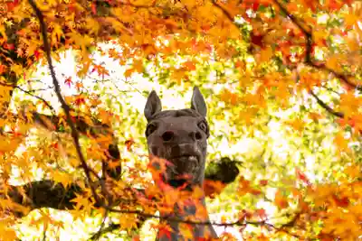 離宮八幡宮(京都府)