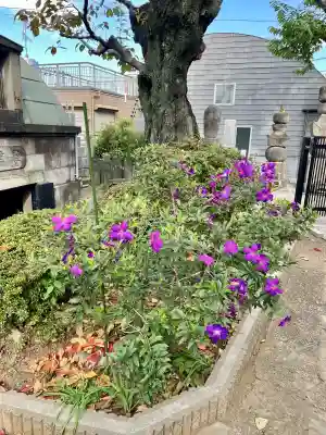 正覚院(東京都)