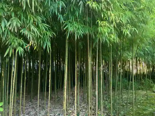 浄智寺(神奈川県)