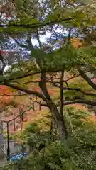 善峯寺(京都府)