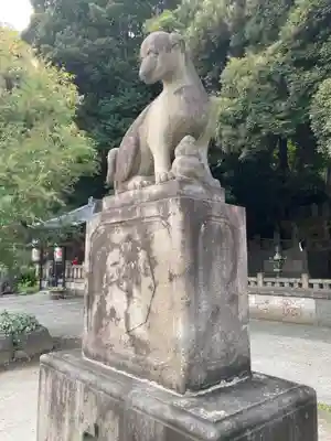 瀧泉寺（目黒不動尊）(東京都)