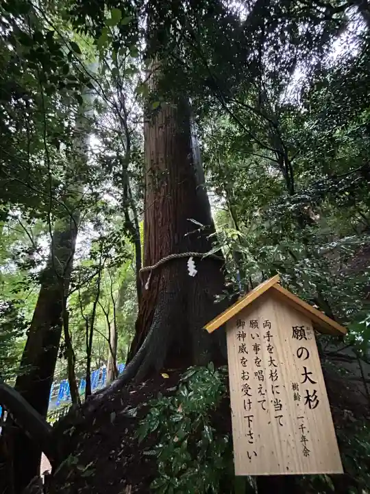 丹生川上神社(中社)(奈良県)