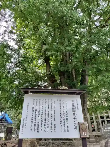 新宮熊野神社(福島県)