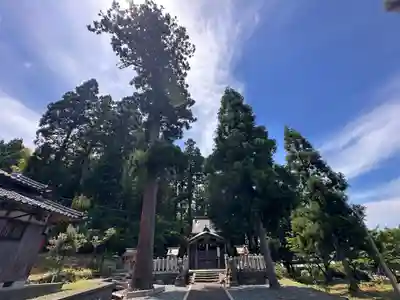 櫻神社(福井県)
