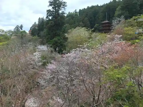 長谷寺の景色