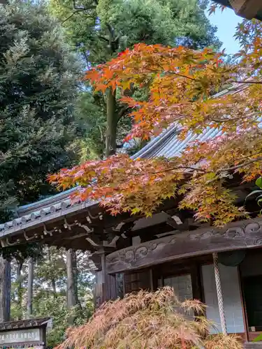 妙法寺(東京都)