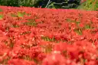 信濃比叡廣拯院の自然