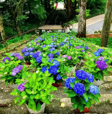 普門寺(切り絵御朱印発祥の寺)(愛知県)