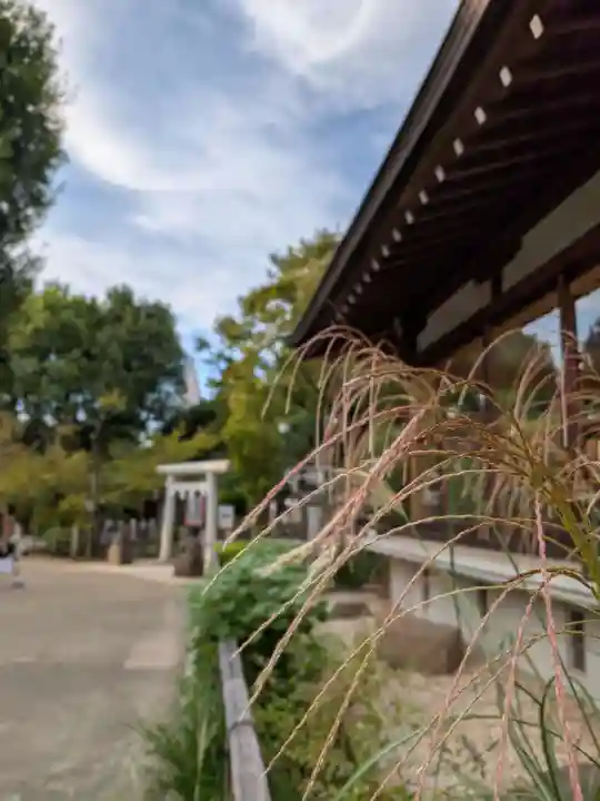 鳩森八幡神社の庭園