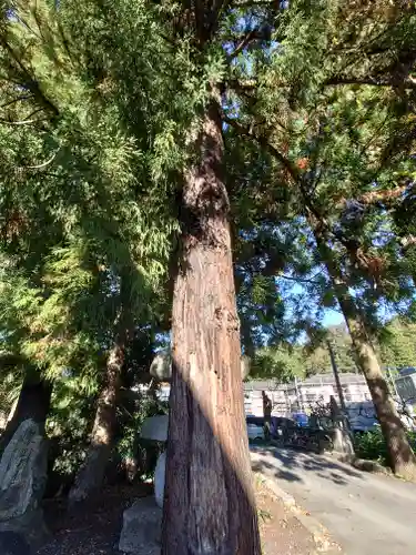 廣見寺(埼玉県)