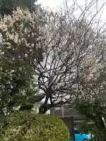 叶神社 (西叶神社)(神奈川県)