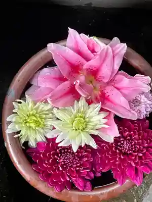 菅生神社(愛知県)