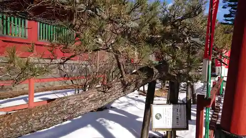 日光二荒山神社中宮祠の庭園