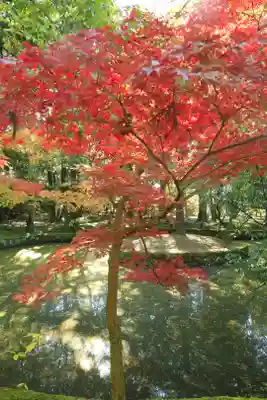 唐招提寺(奈良県)