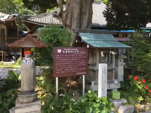 大善院（観蓮寺大善院）の自然