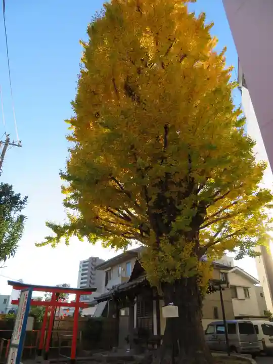 稼穡稲荷社のその他建物