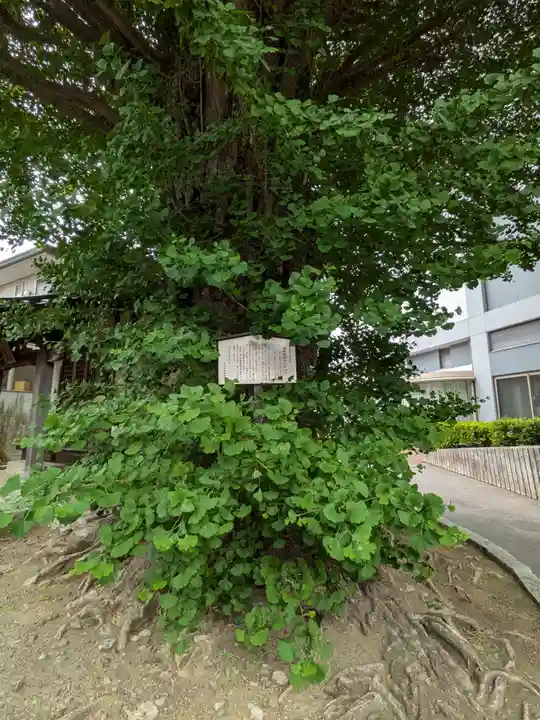 稼穡稲荷社(東京都)