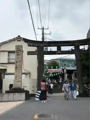 白山神社(東京都)