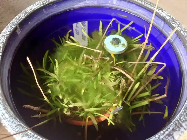 勝福寺(埼玉県)