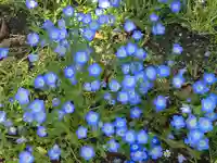 水天宮神社(大阪府)