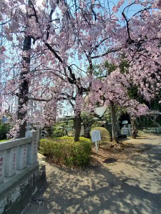 白蛇辨財天の自然