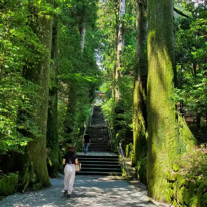 箱根神社のその他建物