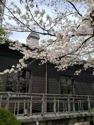 乃木神社(東京都)