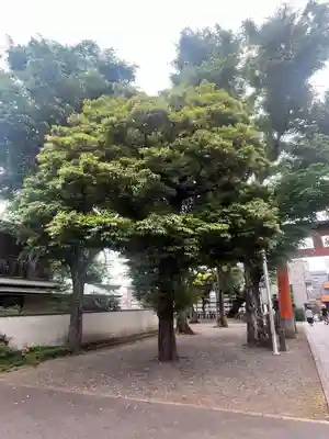 旗岡八幡神社(東京都)