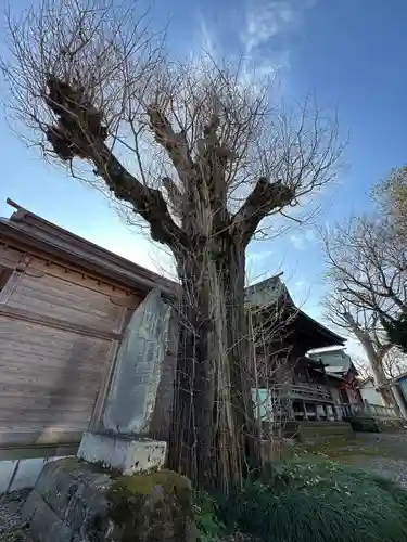 多賀神社(東京都)
