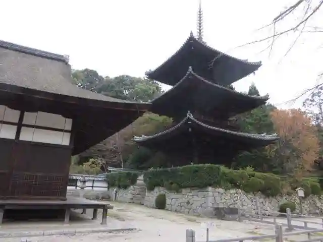 園城寺(三井寺)(滋賀県)