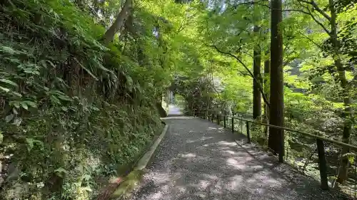鞍馬寺(京都府)