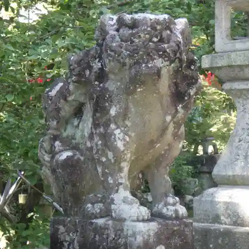 針綱神社の狛犬