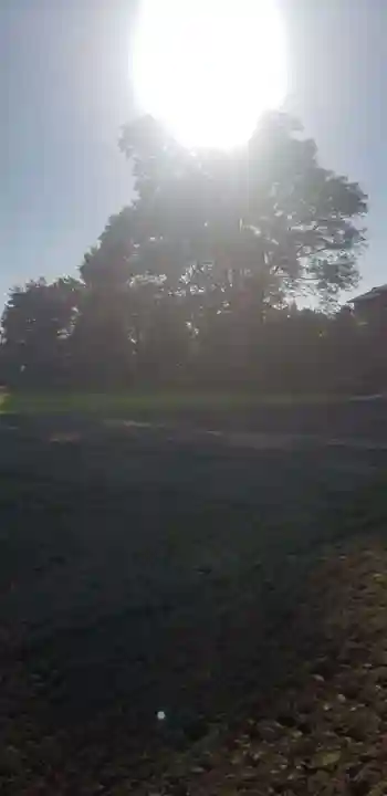 市助稲荷神社の自然