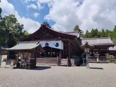 土佐神社の本殿・本堂