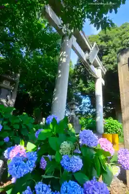指扇氷川神社(埼玉県)