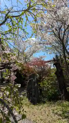 橋寺 放生院(京都府)