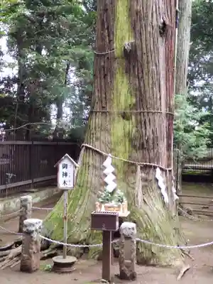 一言主神社(茨城県)